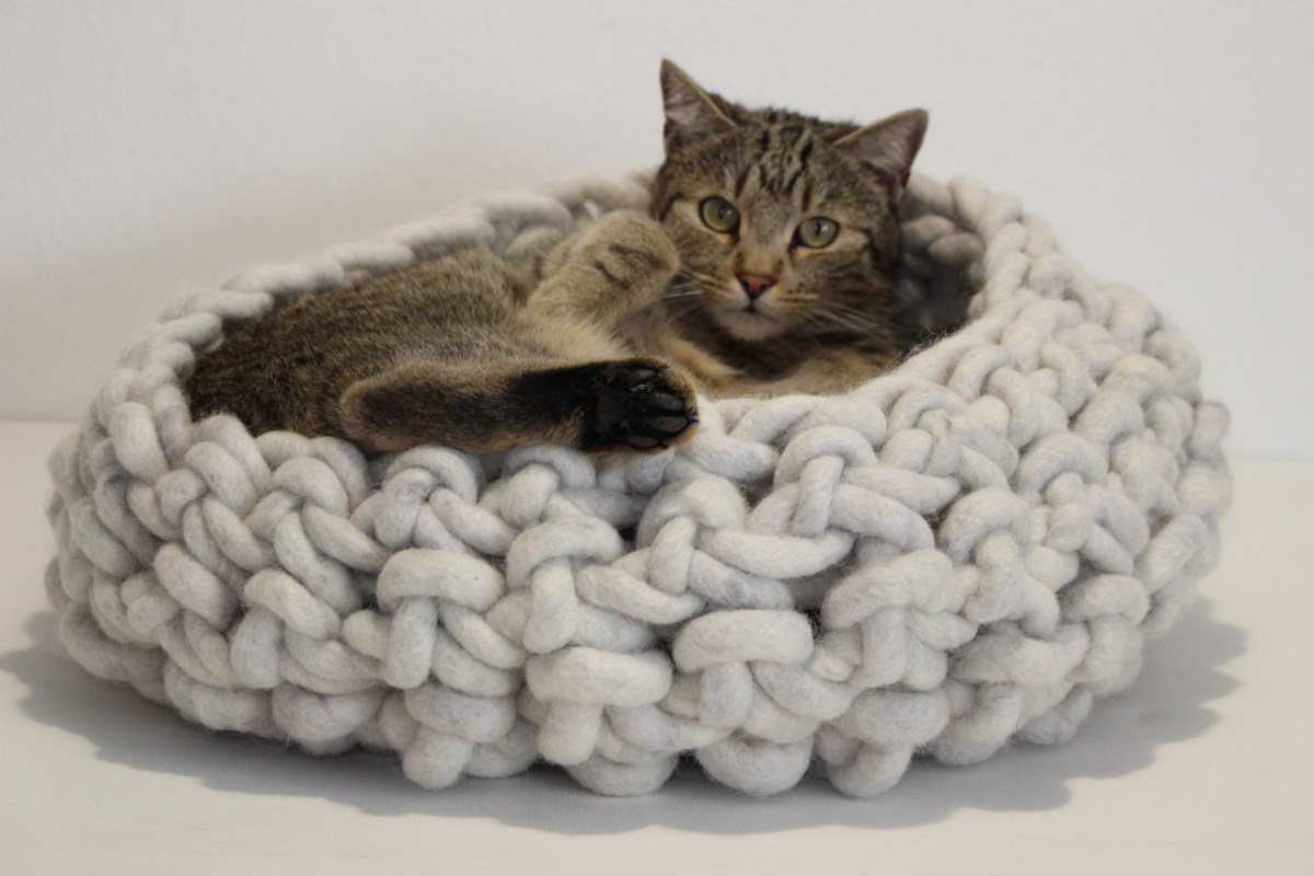Design Katzenbett Traumwandler